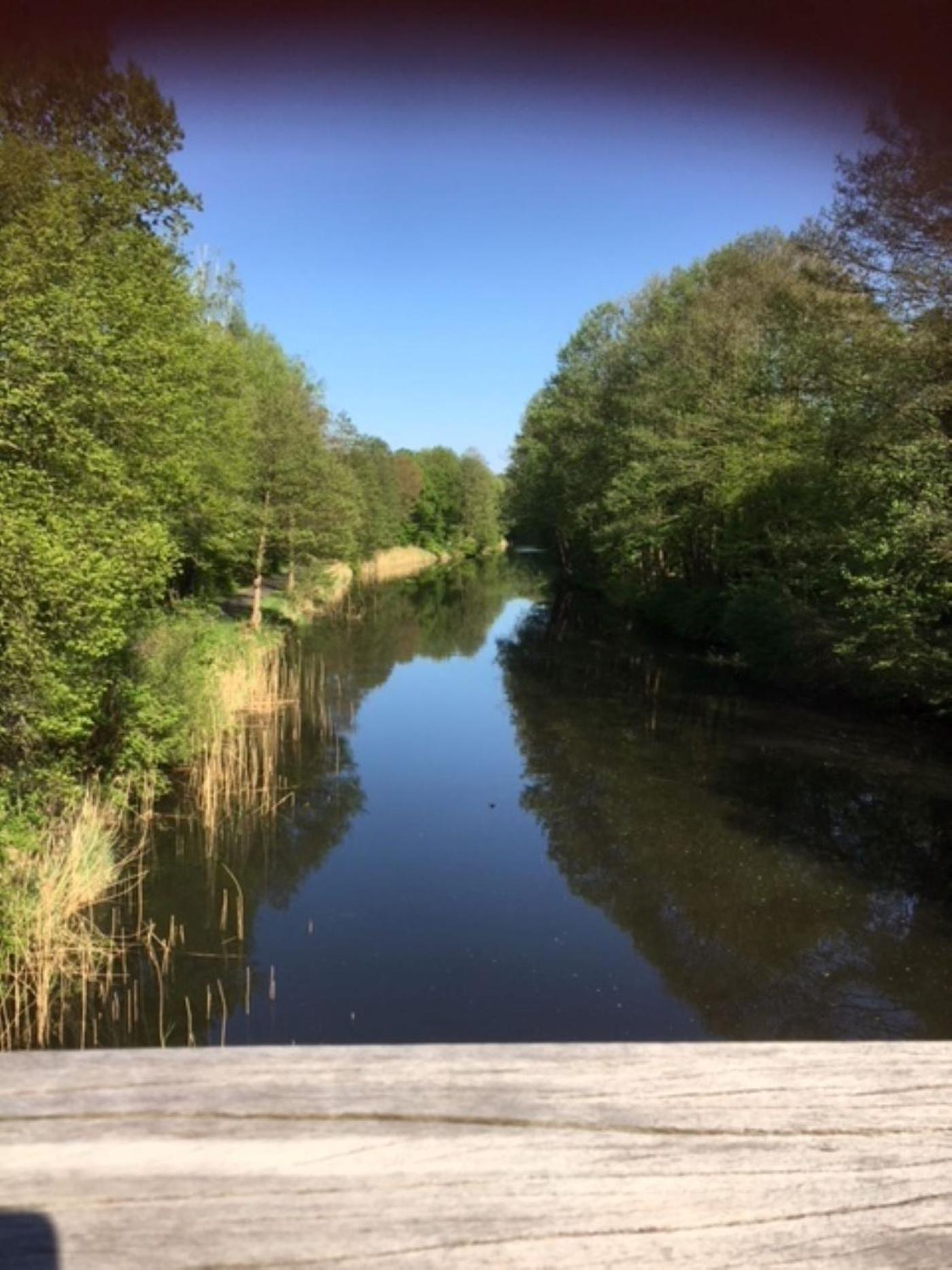 Ferienappartements Am See Schorfheide Eksteriør billede