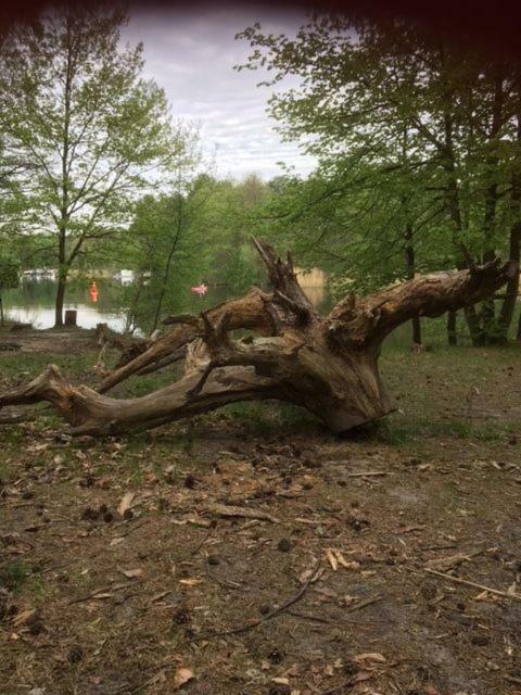 Ferienappartements Am See Schorfheide Eksteriør billede